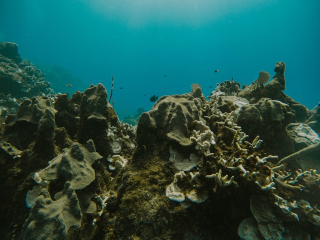 Que cachent vraiment les îles Caïmans sur l’héritage des pirates ?