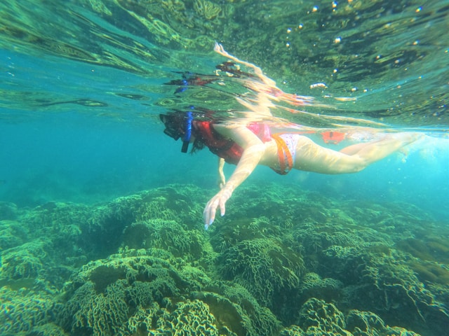 Quels sont les joyaux cachés du Portugal pour plonger et faire du snorkeling ?