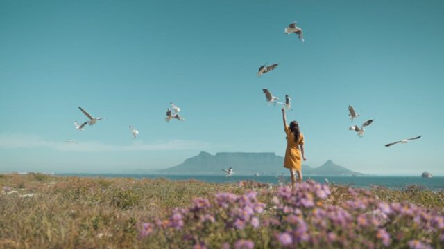 Maladie des oiseaux